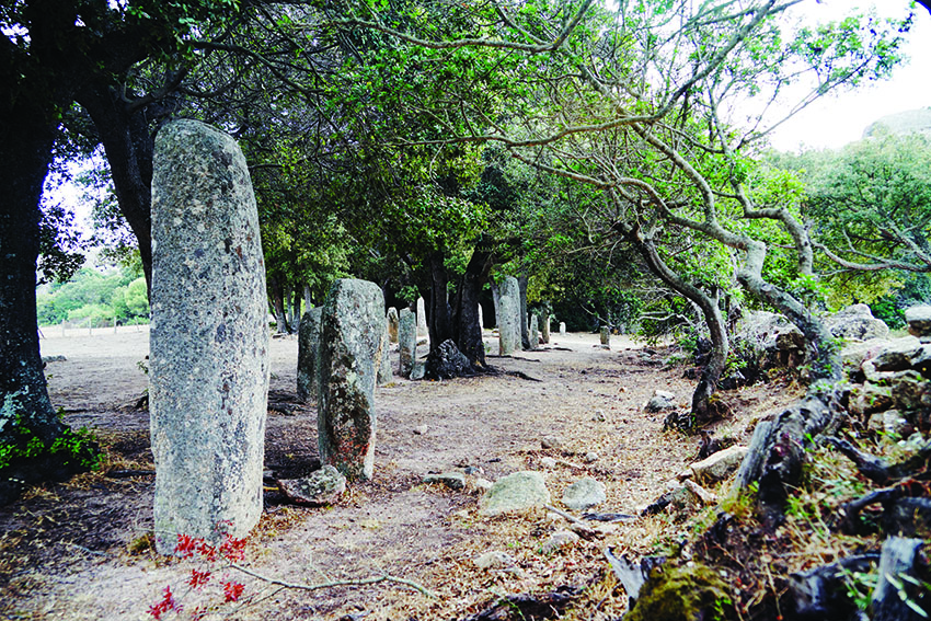 Pierres dressées de l'alignement de Rinaghju à Sartène (Corse-du-Sud)