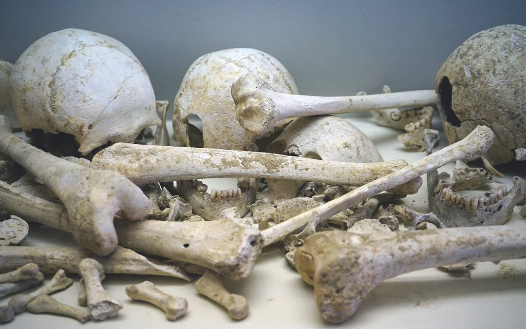 Homme Mort, Marne