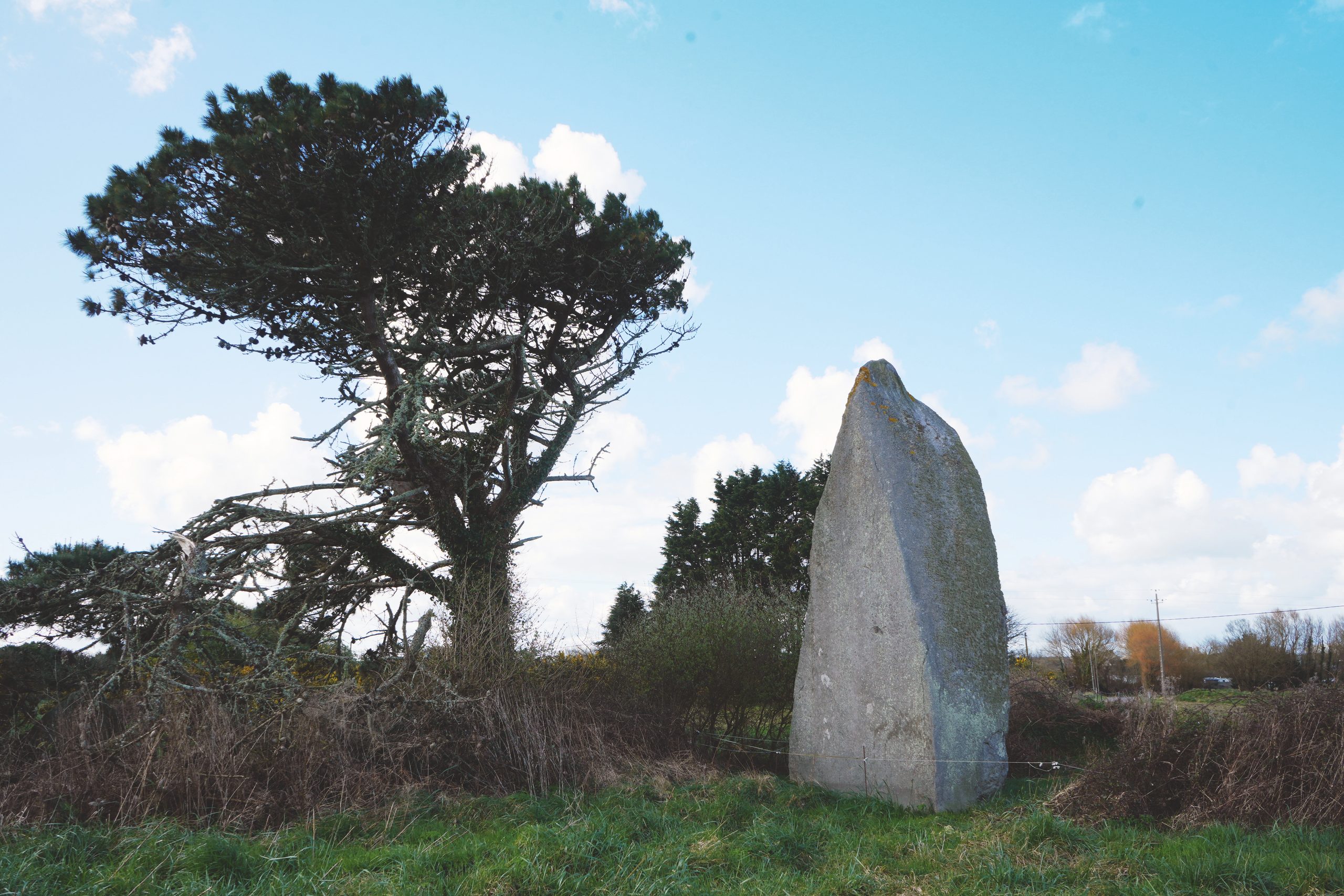 Menhir de Menoignon à Plounéour-Trez (Finistère), haut de 7,80 m.