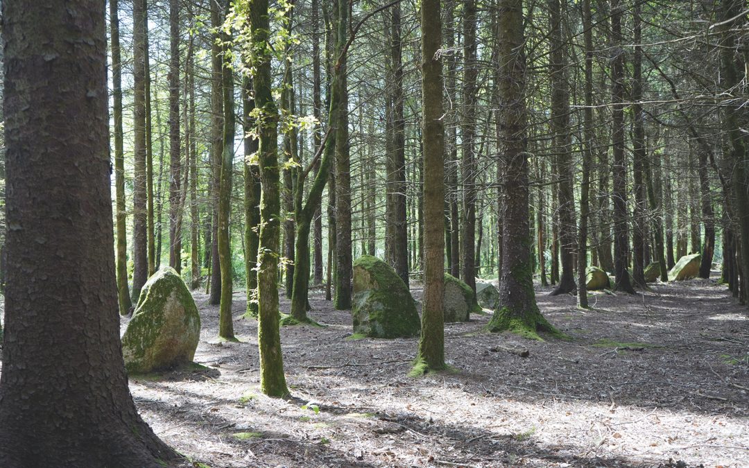 Kersolan, Morbihan