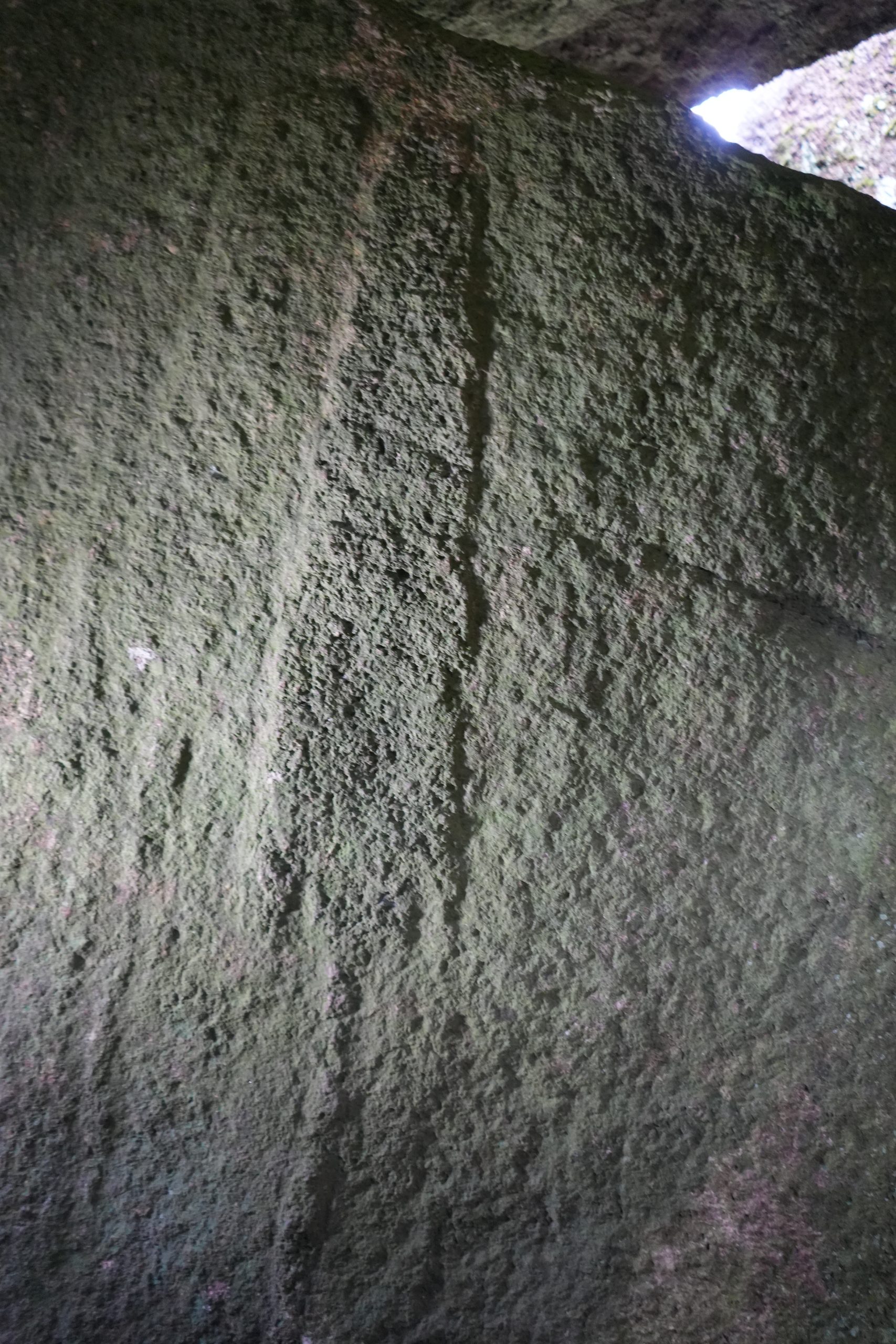 Une “Palette” de l'allée couverte du Mougau-Bihan à Commana (Finistère)