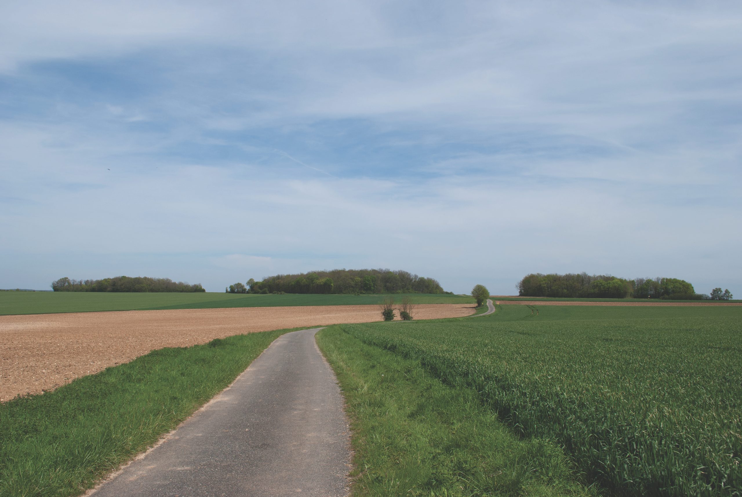 Trois des tumuli de Tusson (Charente)
