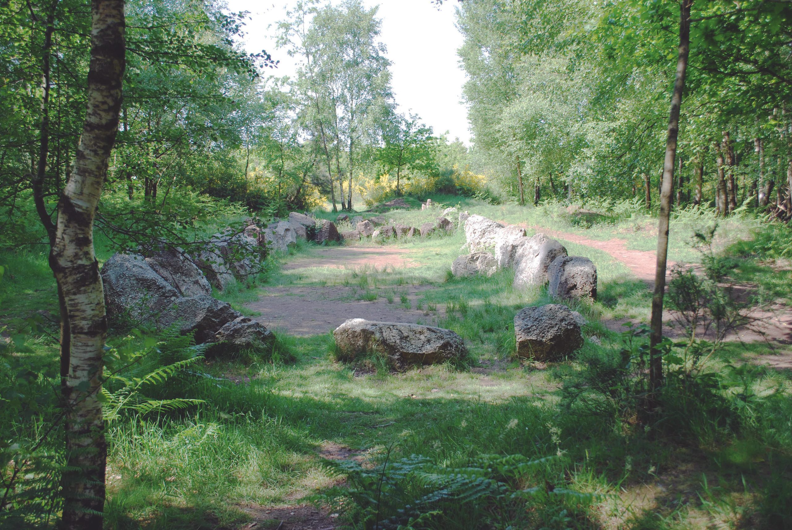 État actuel du tumulus du Jardin aux Moines à Néant-sur-Yvel (Morbihan)