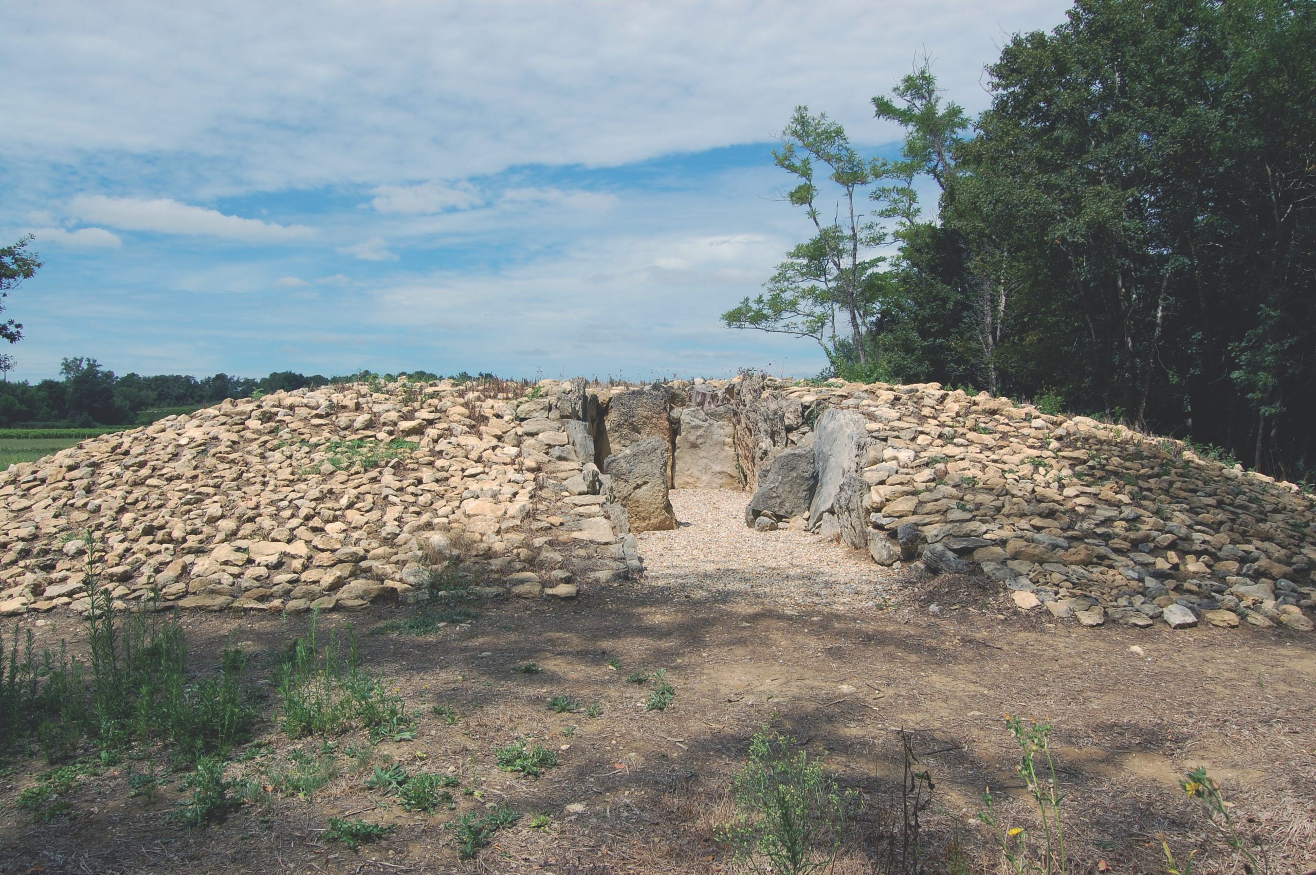 Le long tumulus ovale de l'allée couverte de Barbehère à Saint-Germain-d'Esteuil (Gironde)