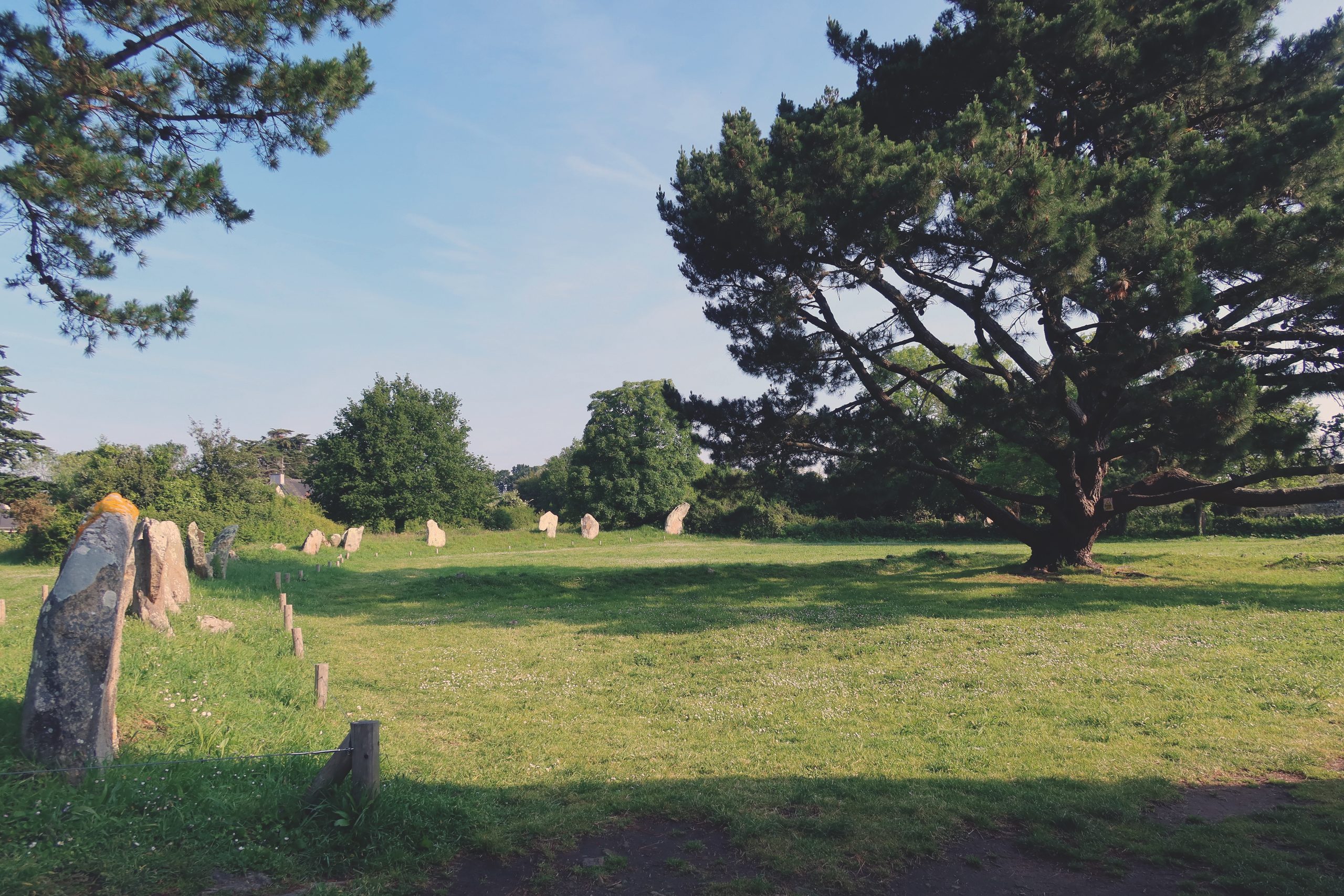 Les menhirs en arc de cercle de l’enceinte de Kergonan à l'Île-aux-Moines (Morbihan).