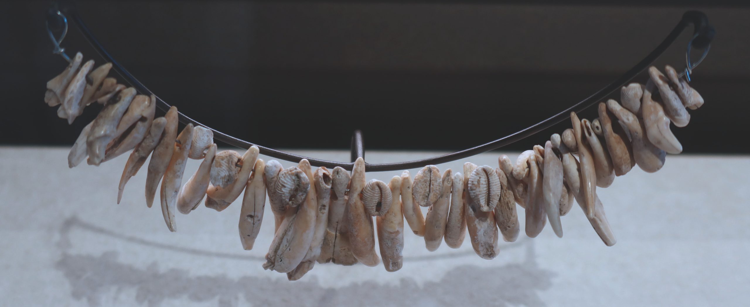 Collier découvert dans la nécropole de La Grifaine à Chouilly (Marne)