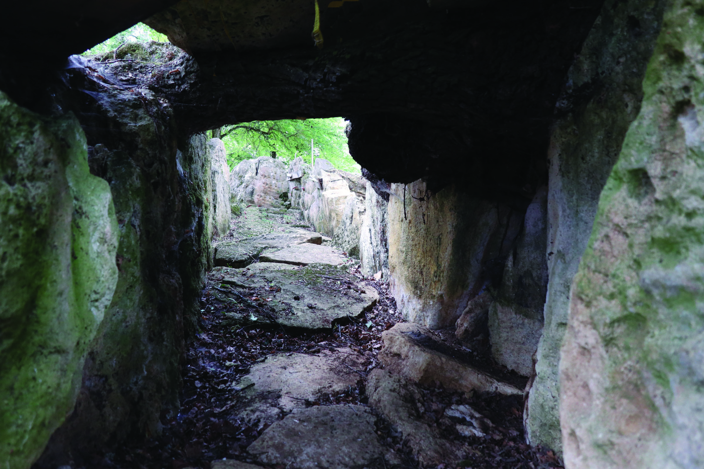 Vestige des dalles de couverture de l'allée couverte de Roquefort à Lugasson (Gironde)