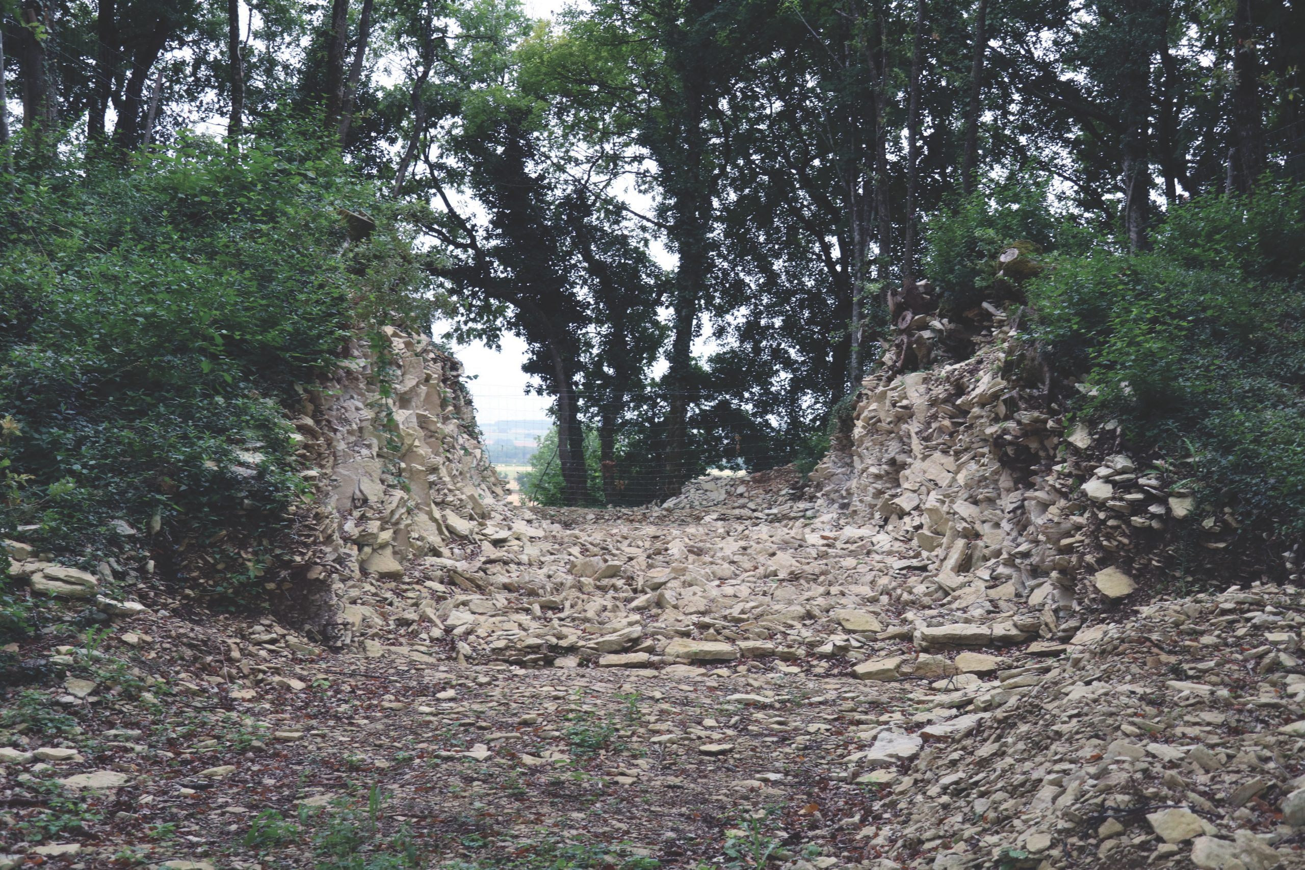 Le plus grand tumulus de Tusson, éventré (Charente)