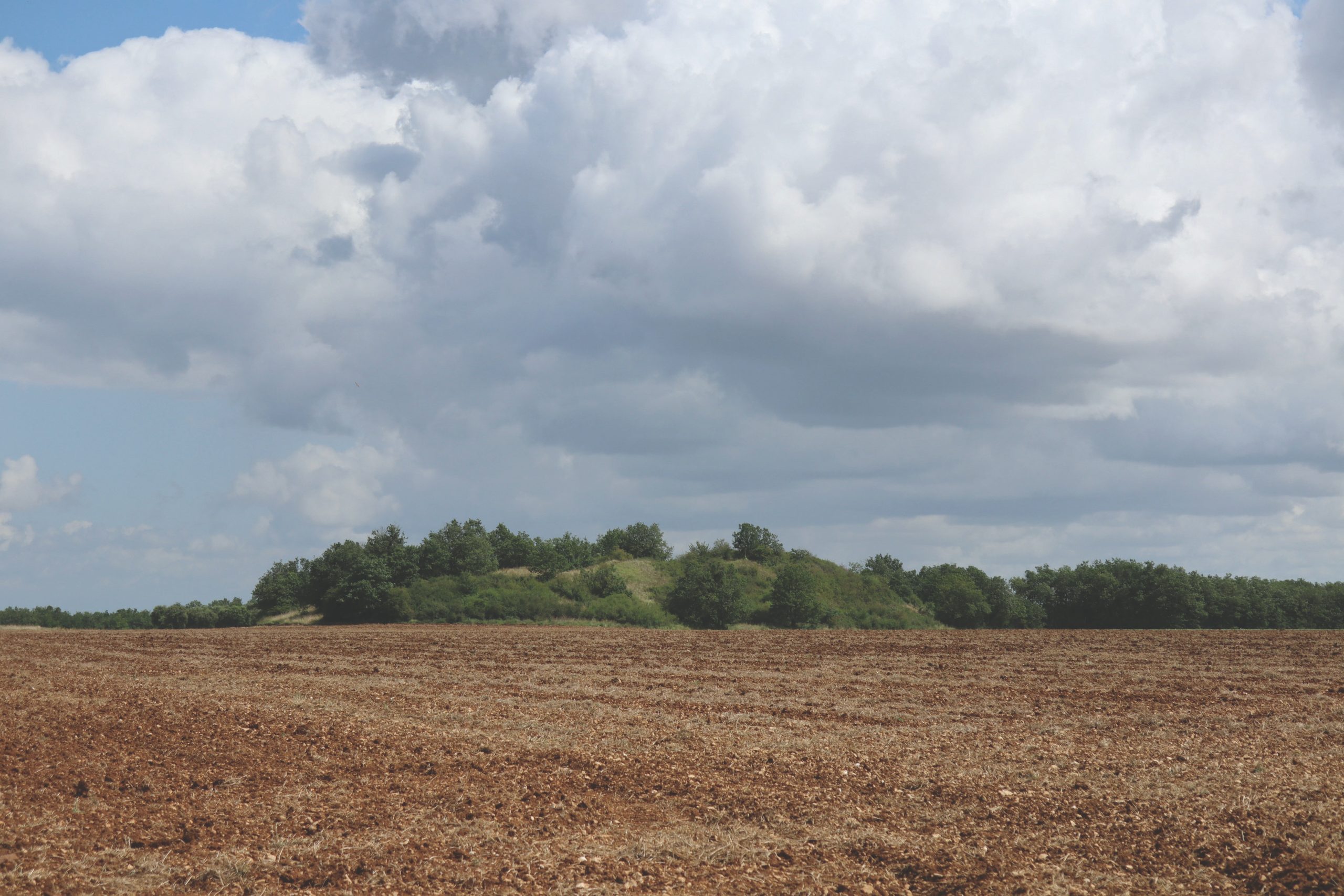 Tumulus ou Motte de Puytaillé, Assais-les-Jumeaux (Deux-Sèvres)