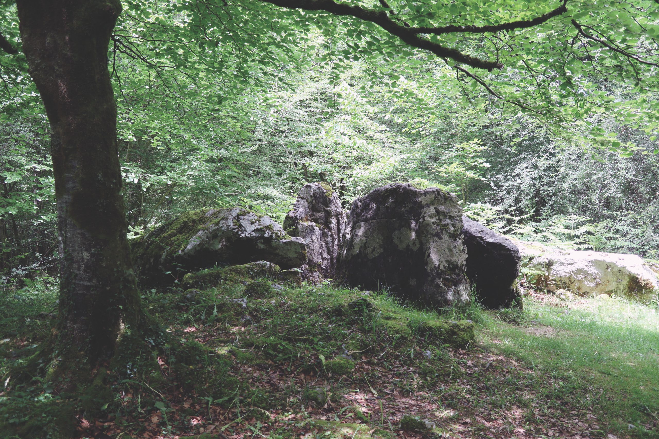 Le dolmen d'Ithé 1 de profil à Aussurucq (Pyrénées-Atlantiques)