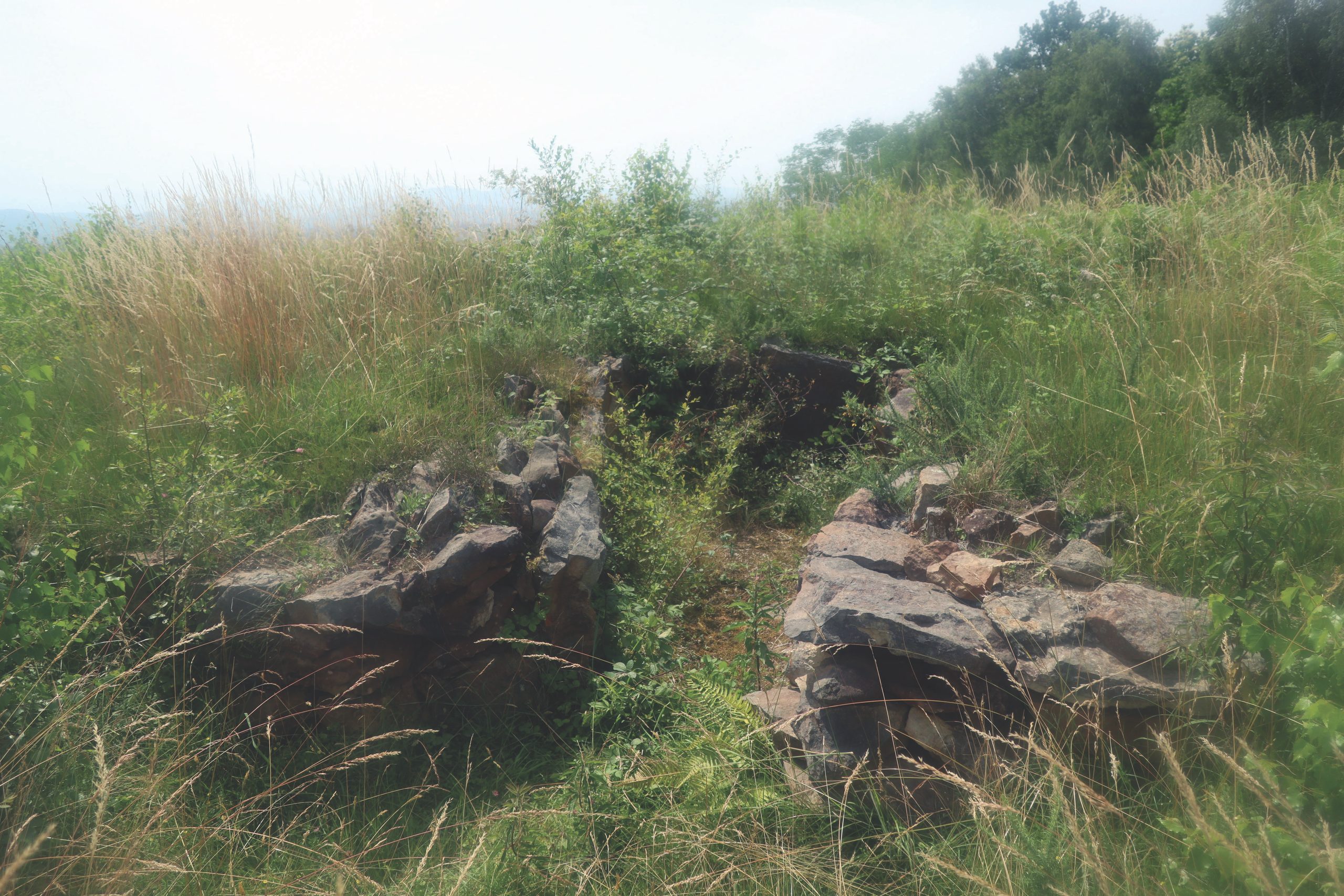 Le pauvre état de conservation du dolmen 2 de Peyrecor à Escout (Pyrénées-Atlantiques)