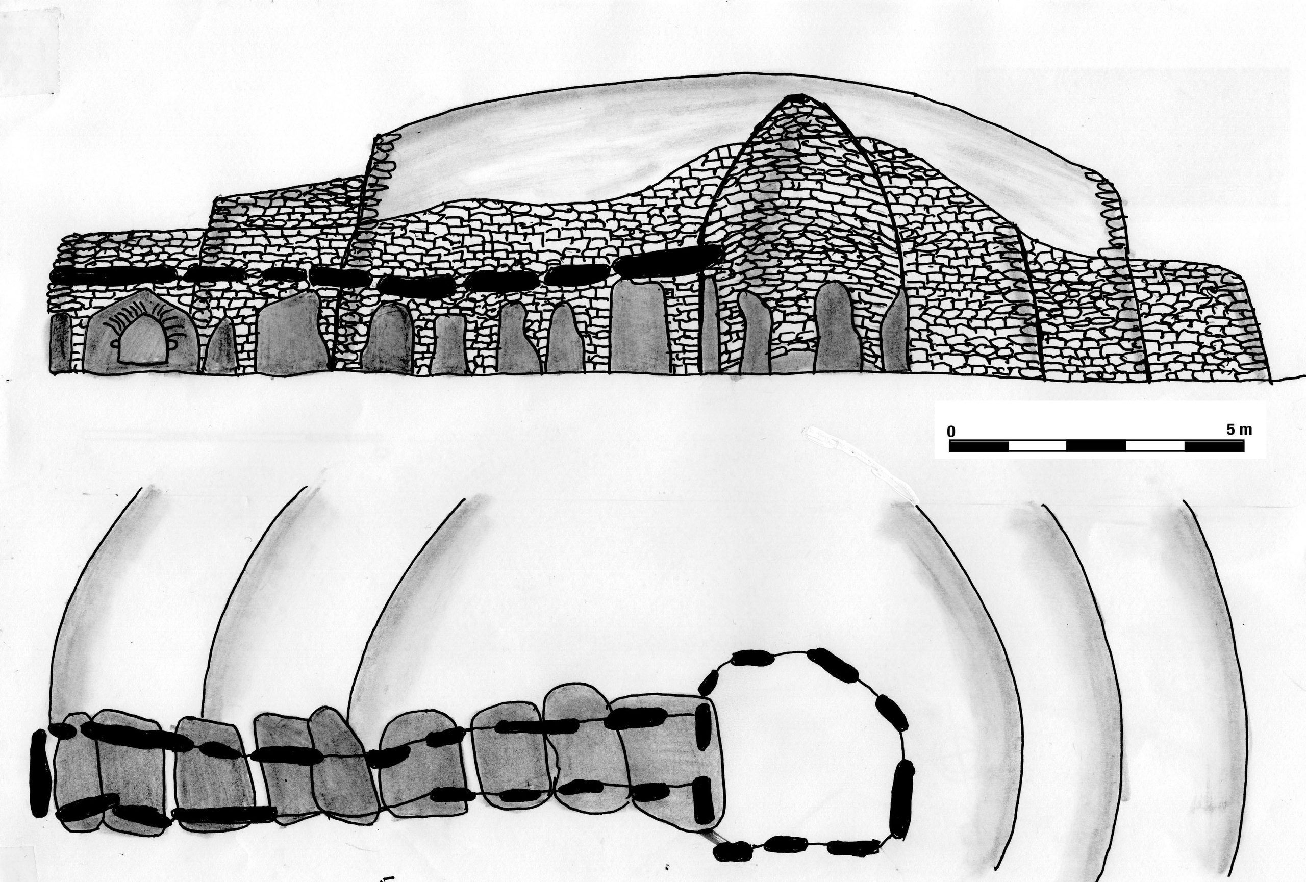 Plan et profil du dolmen de l’île Longue à Larmor-Baden (Morbihan)