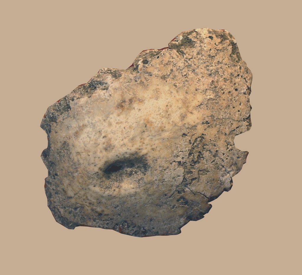 Blessure sur un fragment de calotte crânienne (Musée de Rodez)