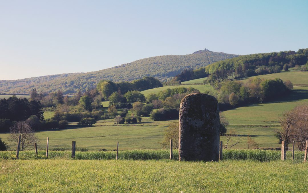 Lacaune, Tarn