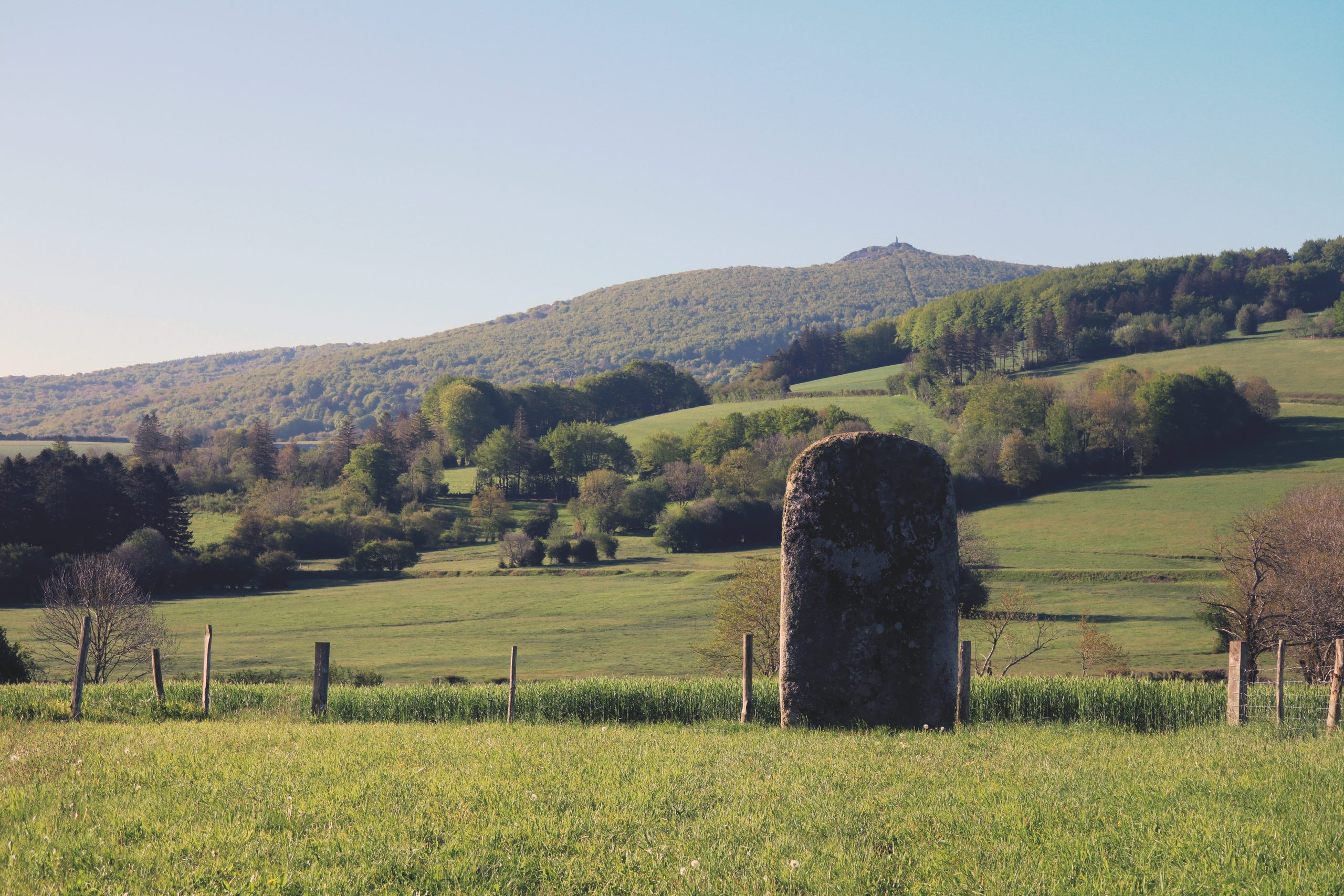 La statue-menhir de la Pierre-Plantée à Lacaune (Tarn)