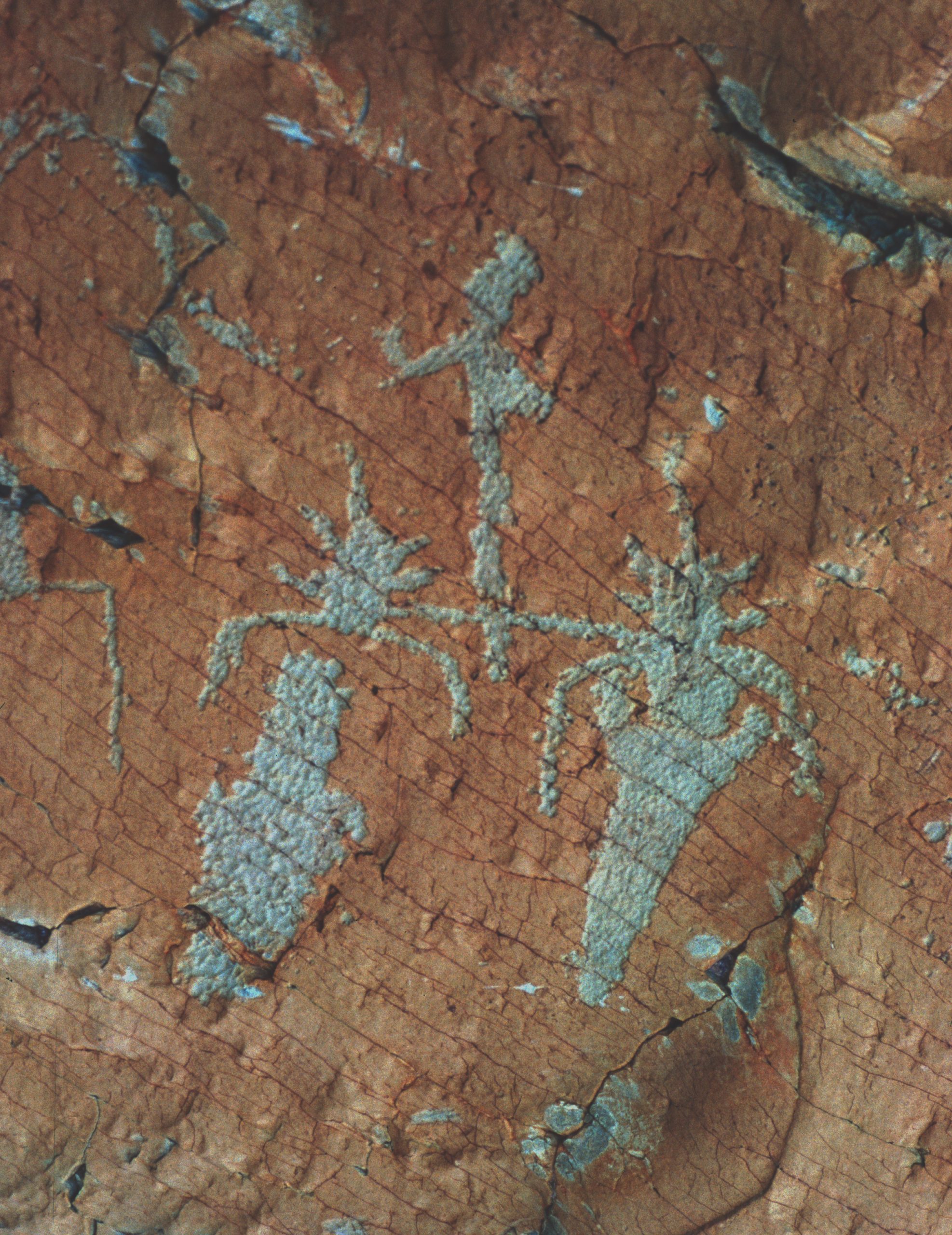 Représentations gravées de l’araire à l’âge du Bronze Ancien du mont Bégo (Alpes-Maritimes)